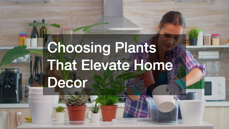 Choosing Plants That Elevate Home Decor
