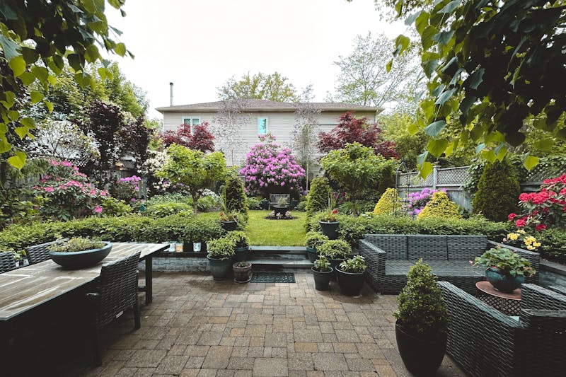 backyard landscaping